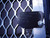 ELF6811DD 048053 STATIONARY LOUVER T89389
