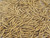 LOT OF 2000 FASTENAL 10173-03904 0060 017000 FASTENERS T90180