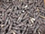 LOT OF 700 10173-01768 7/16 X 1.781 THREADED STUDS T90199