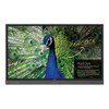 QOMO QIT1465 4K multi-touch LED panel