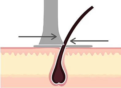 Electric Shaver