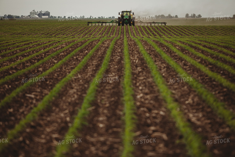 Side Dressing Fertilizer in Corn Field 5745