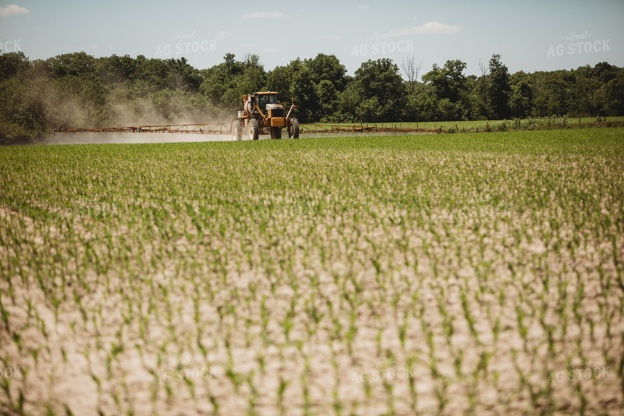 Spraying V3 V4 Corn Field 5787