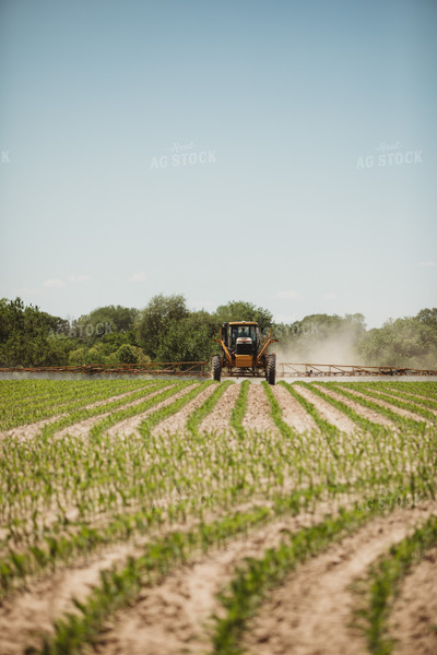 Spraying V3 V4 Corn Field 5791