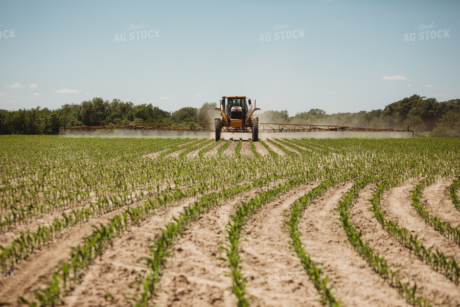 Spraying V3 V4 Corn Field 5793