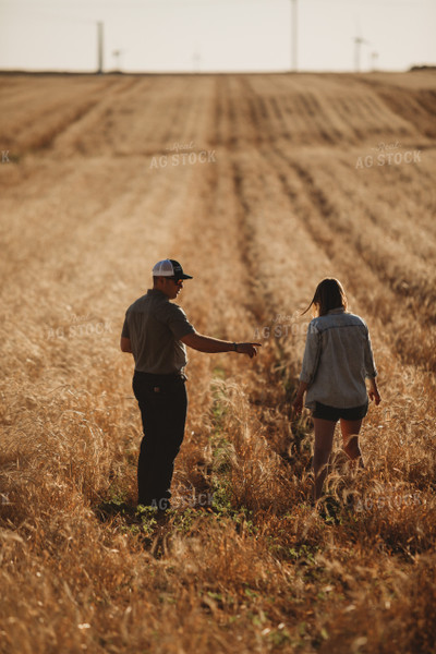 Farmers Walking Soybean Field with Rye Cover Crop 5811