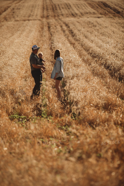 Farm Family Walking Soybean Field with Rye Cover Crop 5812