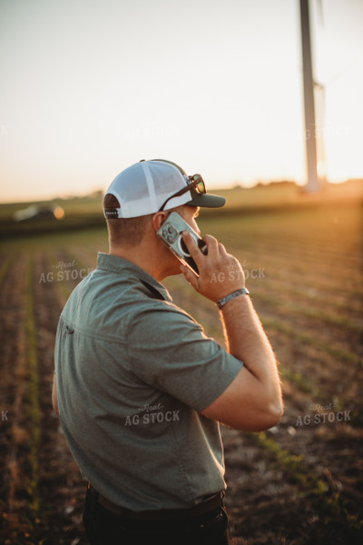 Farmer Agronomist Talking on Phone in Corn and Triticale Cover Crop Field 5919