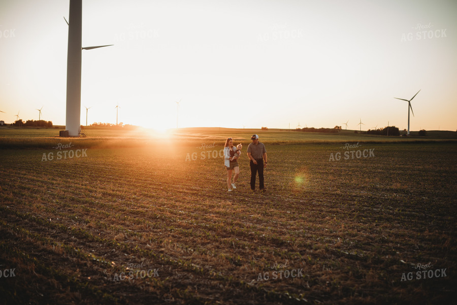 Farm Family Walking in Corn Field with Triticale Cover Crop at Sunset 5927