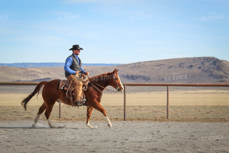 Male Rancher on Horse 78036
