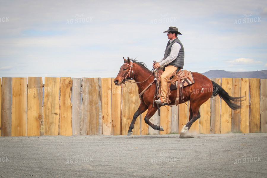 Male Rancher on Horse 78057