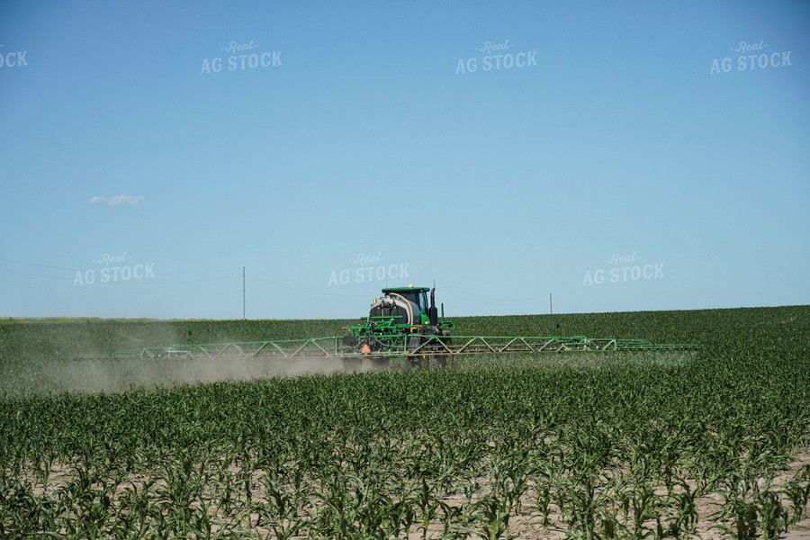 Sprayer in Corn Field 65026