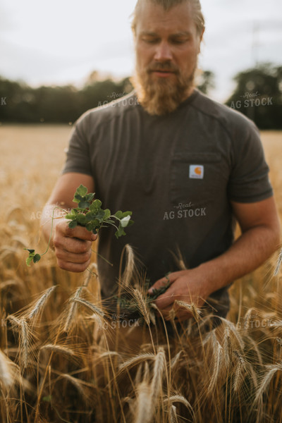 Farmer in Rye Field 5976