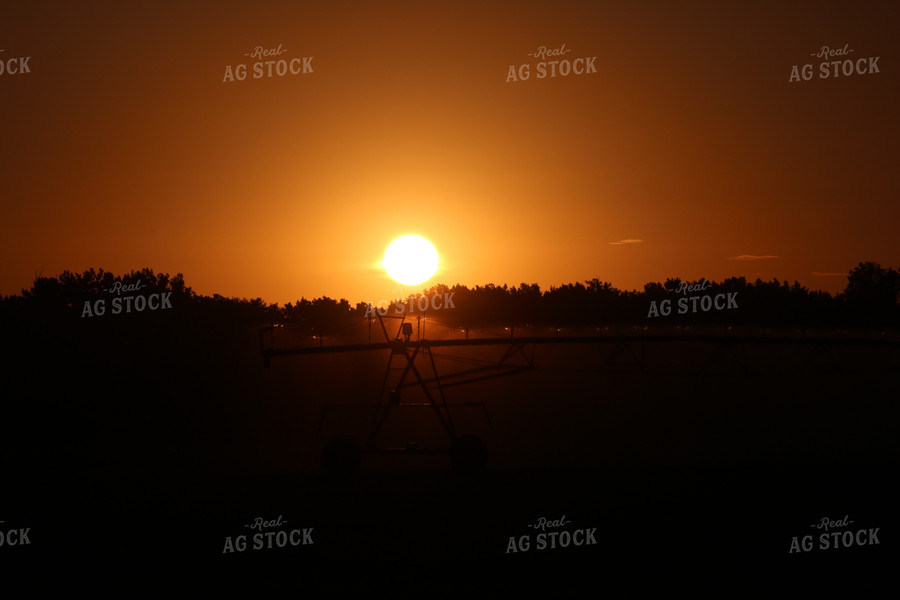 Irrigation System at Sunset 82002