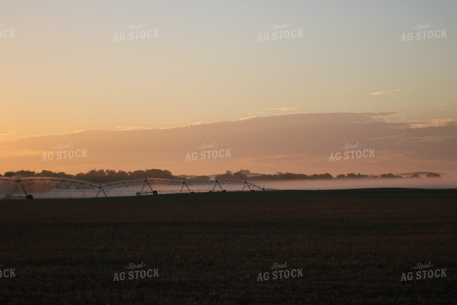 Irrigation System 82003