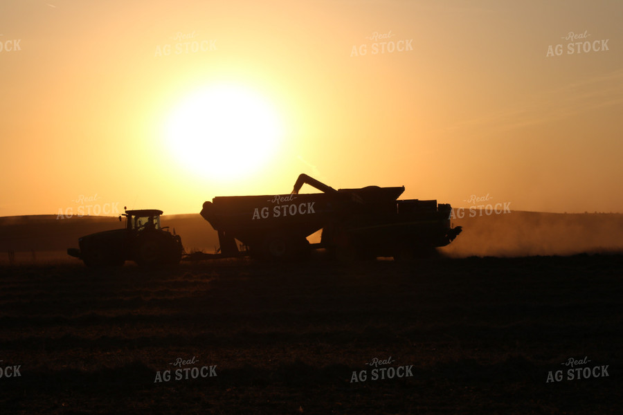 Grain Cart and Combine Silhouette 82009