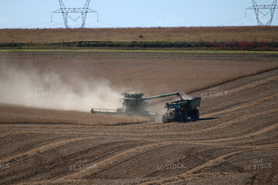 Wheat Harvest 82011