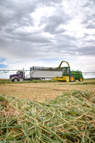 Making Haylage 56434