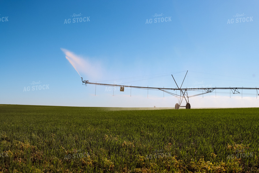 Irrigation System in Hay Field 83012