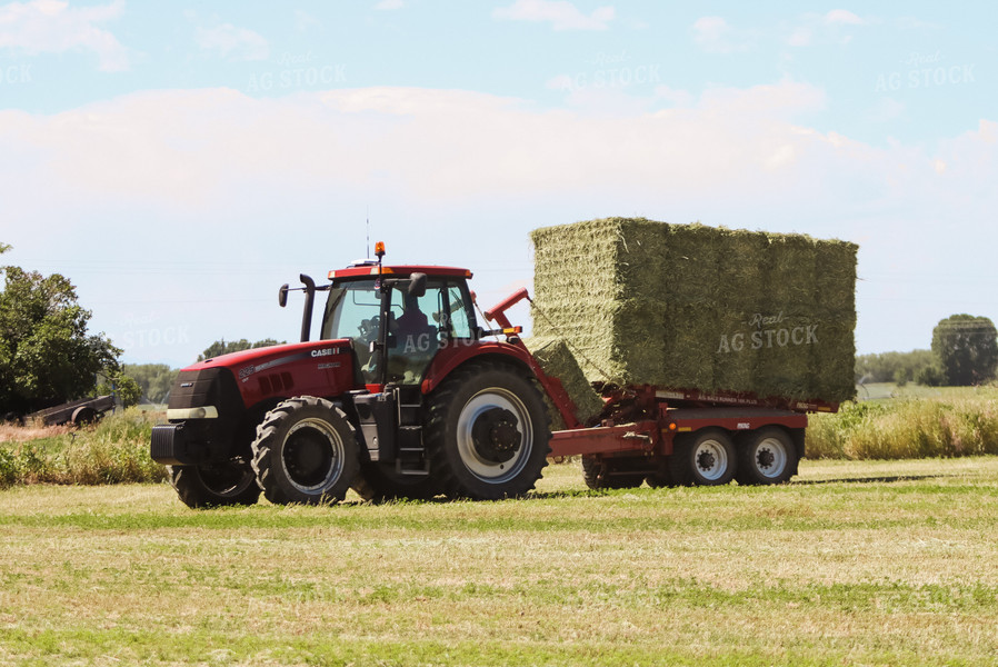 Gathering Square Bales 83036