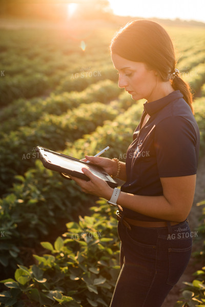 Agronomist or Farmer in Soybean Field with Tablet 6086