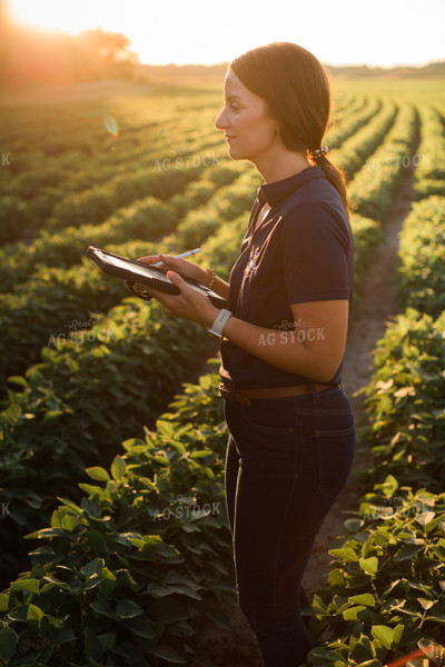 Agronomist or Farmer in Soybean Field with Tablet 6087