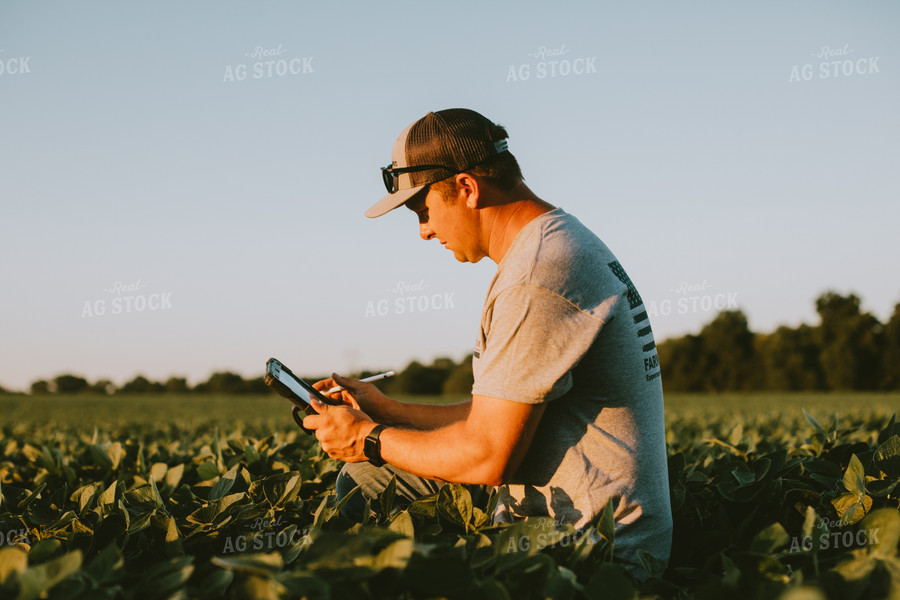 Farmer in Soybean Field with Tablet 6132