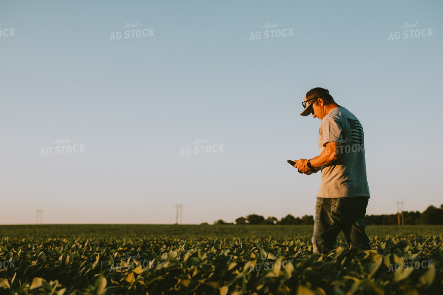 Farmer in Soybean Field with Tablet 6137