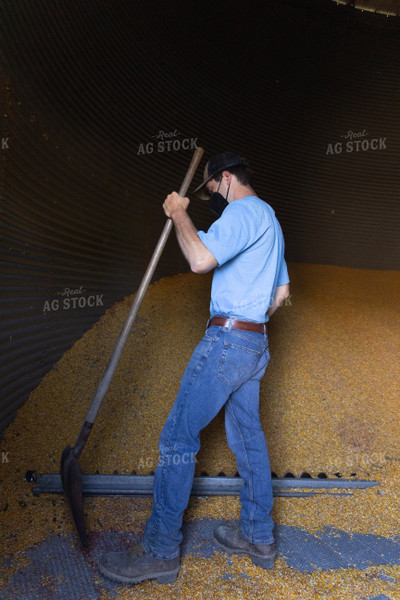 Farmer Cleaning Out Grain Bin 52486