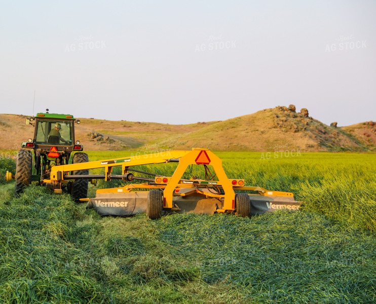 Cutting Green Willow Creek Winter Wheat 87016