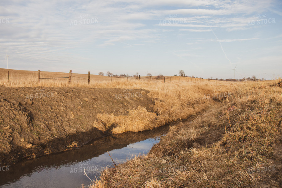 Waterway Running through Field Pasture 67241