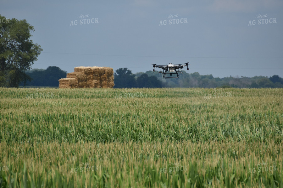 Drone Sprayer Above Corn 84089