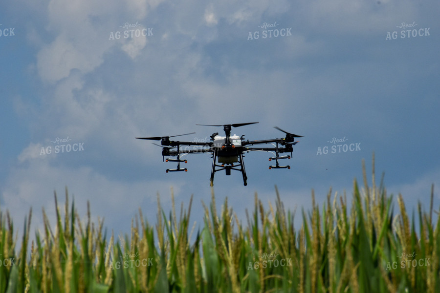 Drone Sprayer Above Corn 84101