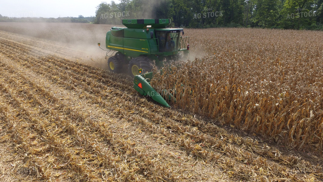 Corn Harvest 85032