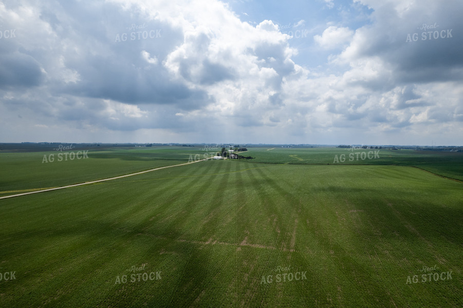 Aerial View of Farmland 92016