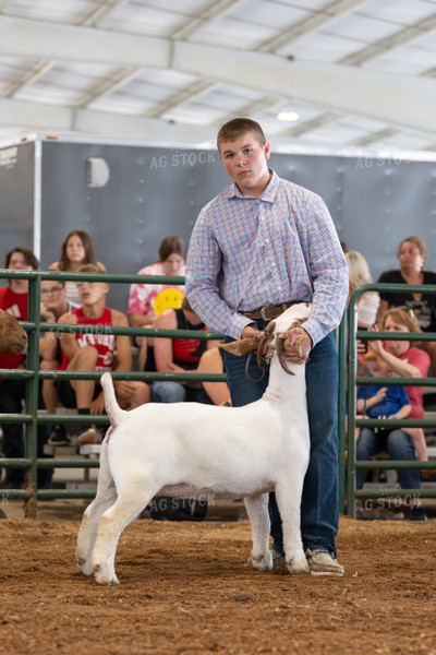 Farm Kid Showing Goat 52514