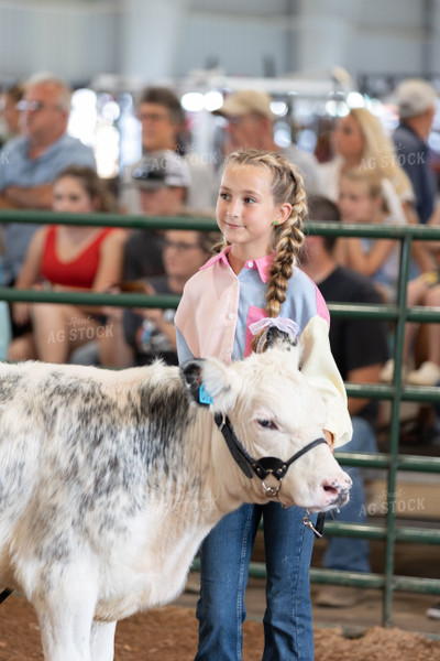 Showing Cattle 52520