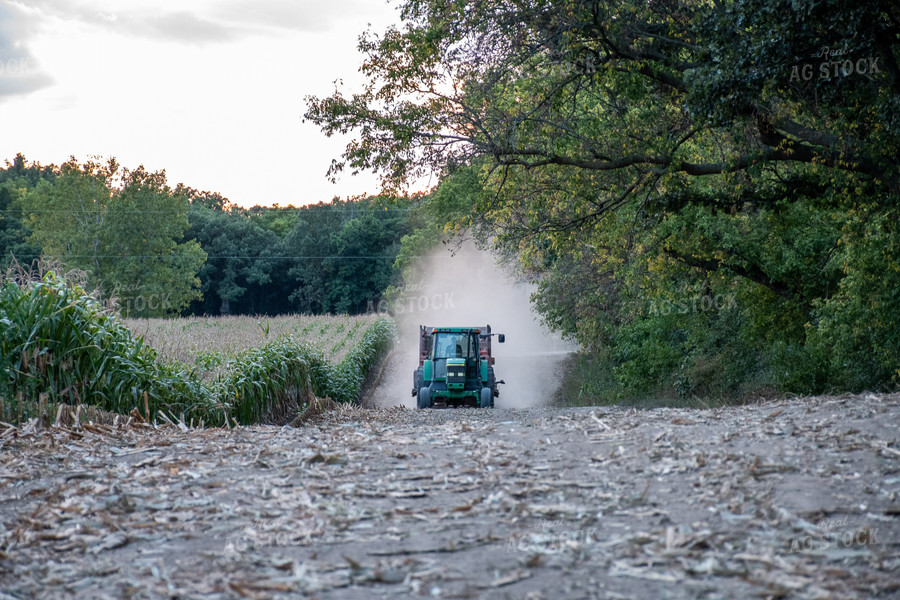 Silage Harvest 50258