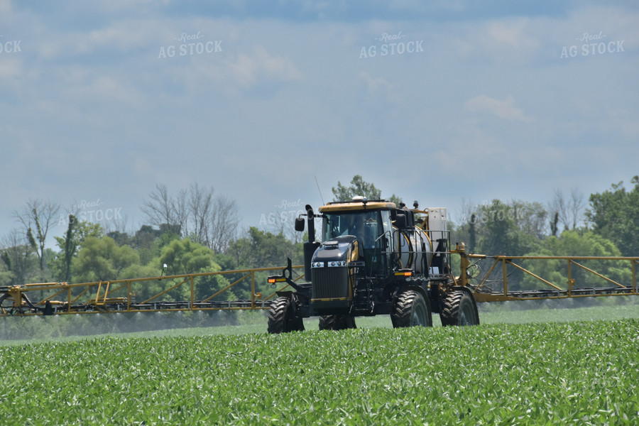 Spraying Soybeans 84119