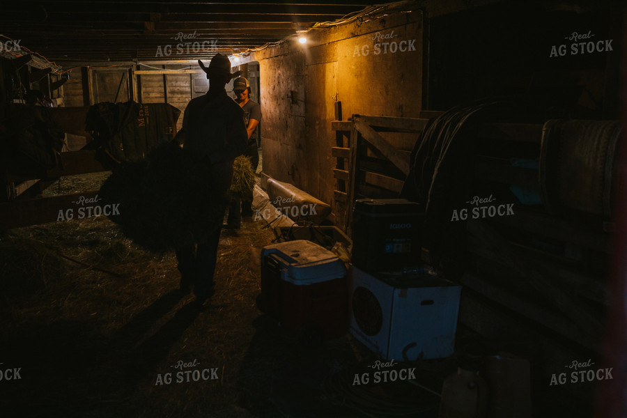 Ranchers Throwing Hay in Barn 6436