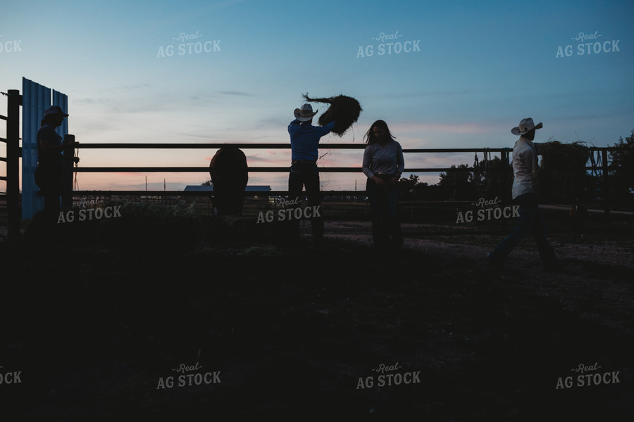 Ranchers Throwing Hay in Barn 6437