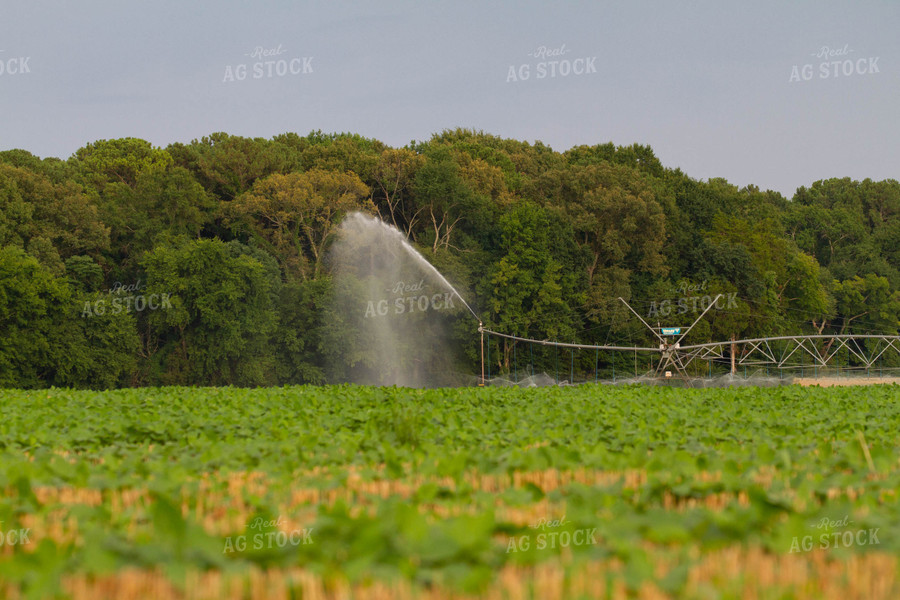 Irrigation System 79119