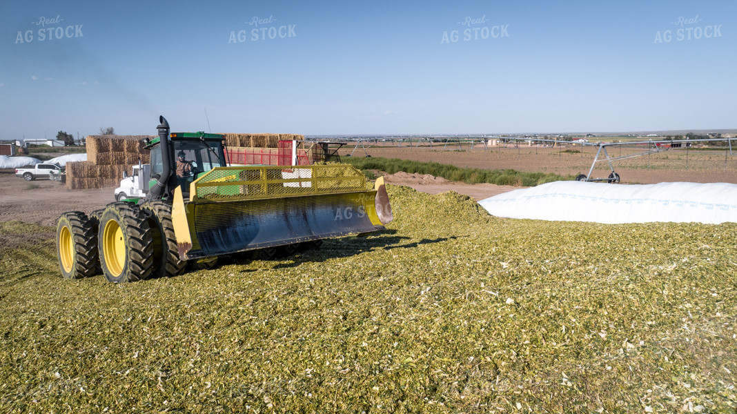 Compacting Silage 56513