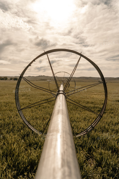 Irrigation System in Pasture 58225