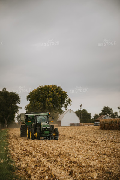 Corn Harvest 6643