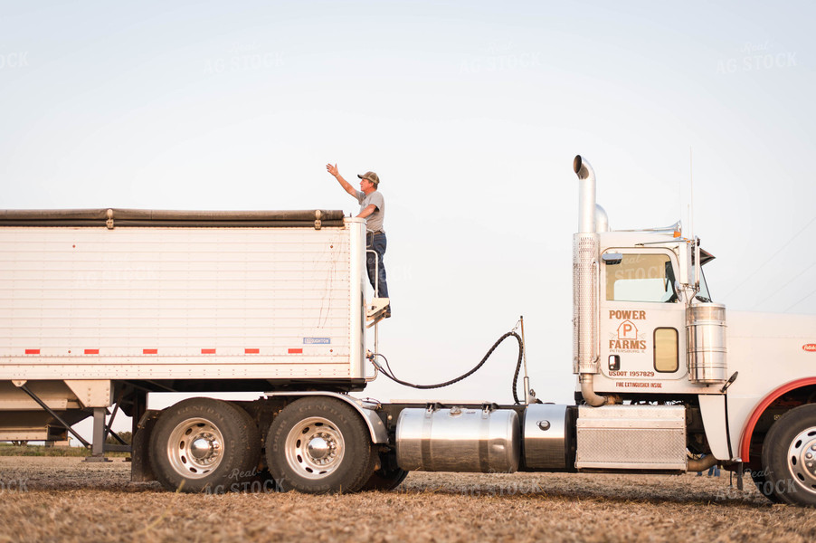 Farmer Standing on Semi 115033