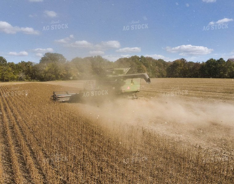 Soybean Harvest 79165