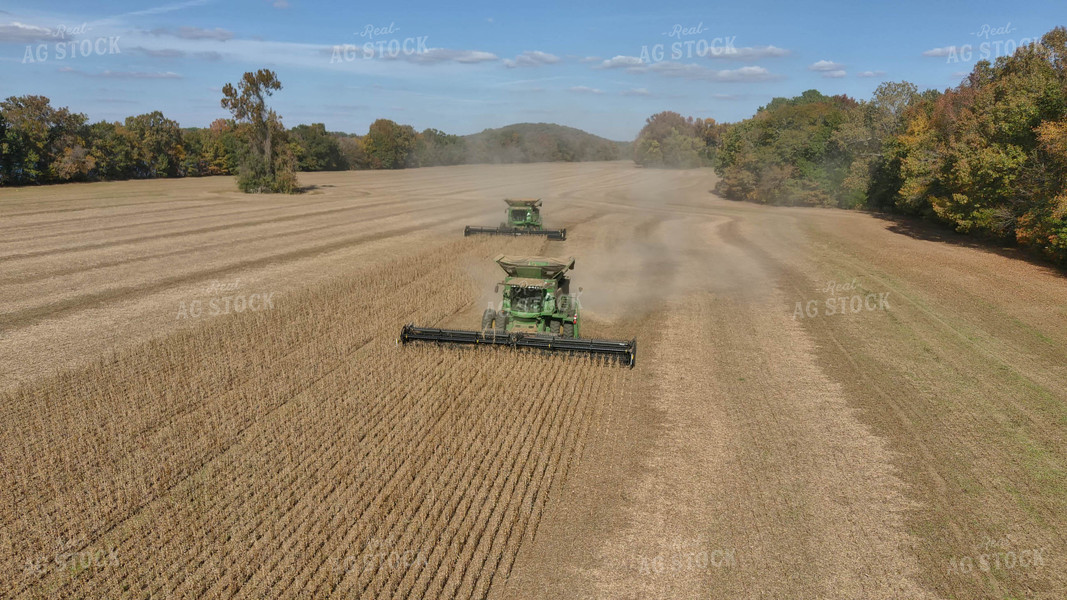 Soybean Harvest 79167