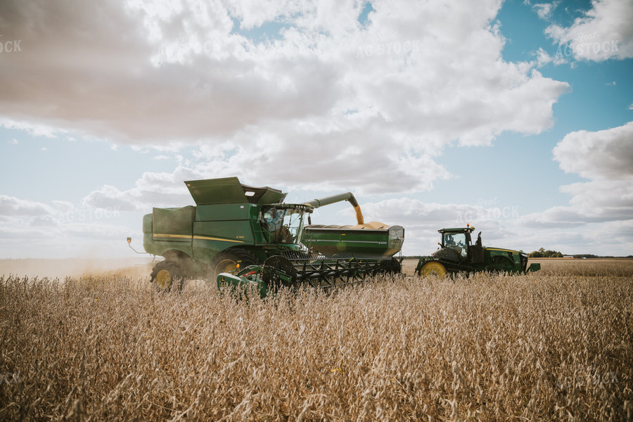 Soybean Harvest 6880