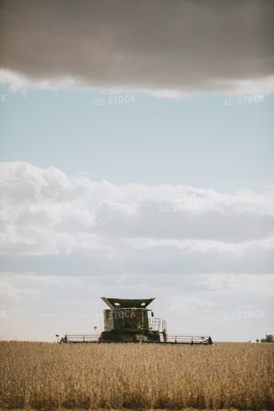 Soybean Harvest 6909